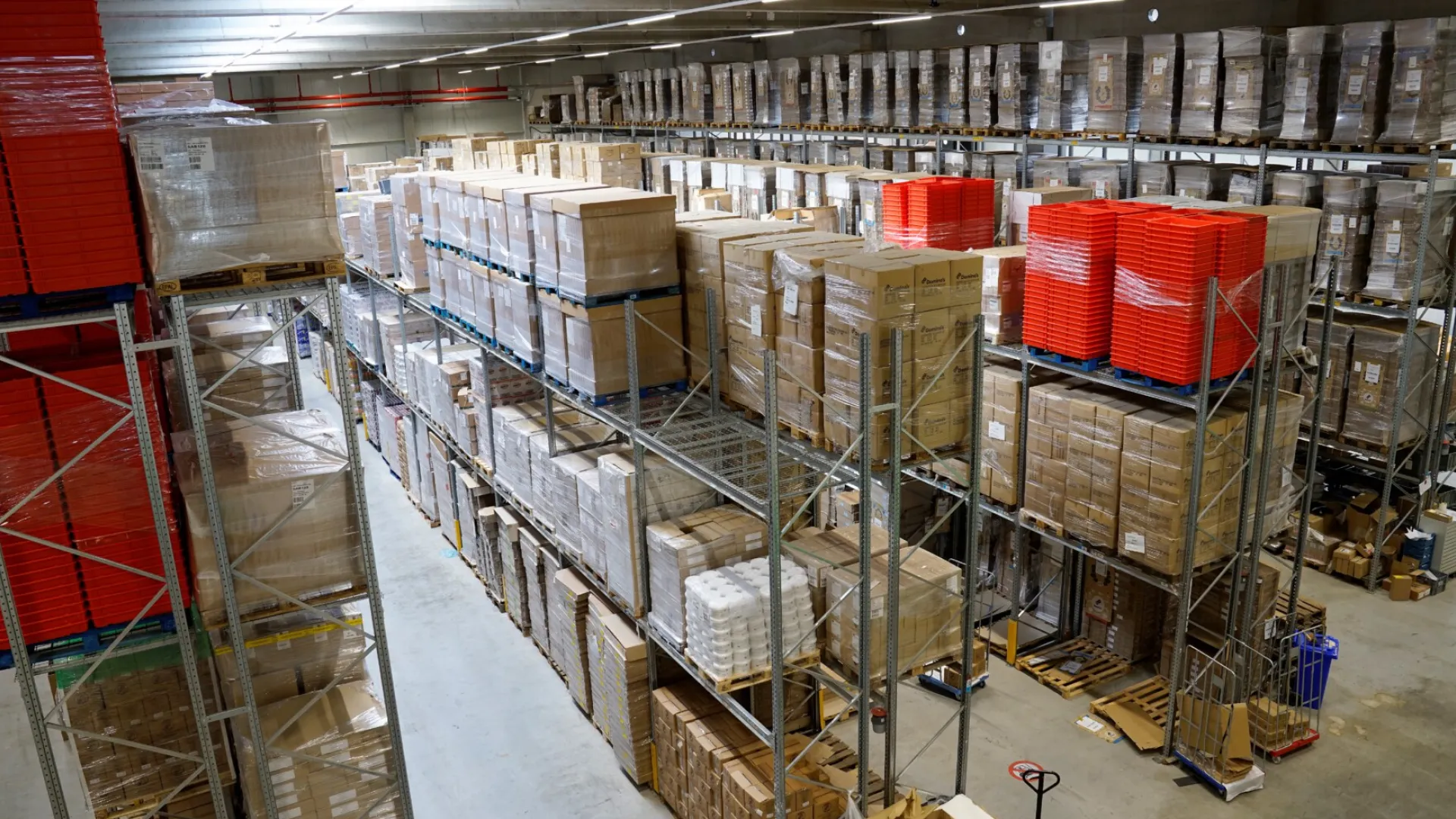 dominos-case-cover-2